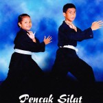 Pencak Silat
